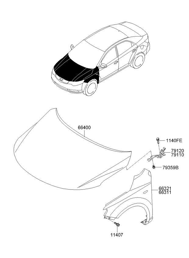 PANEL - REAR DOOR