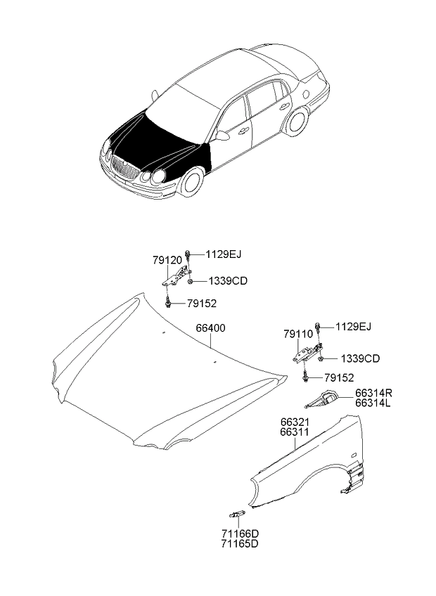 PANEL - REAR DOOR