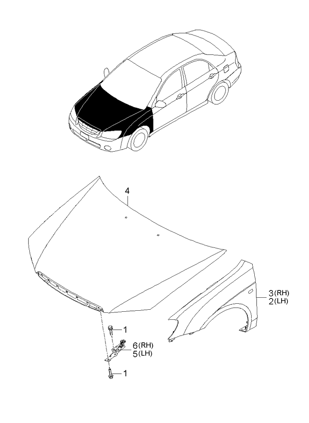 PANEL - REAR DOOR