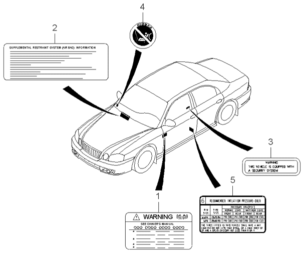 PANEL - REAR DOOR