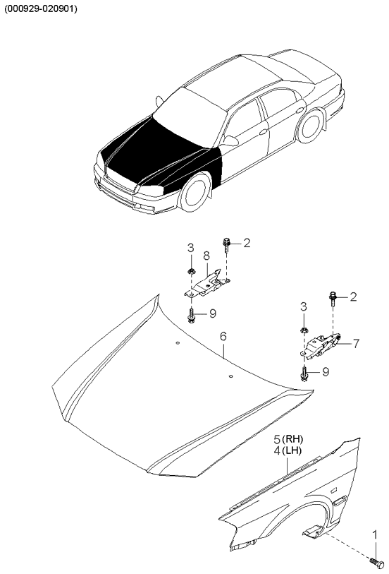 PANEL - REAR DOOR