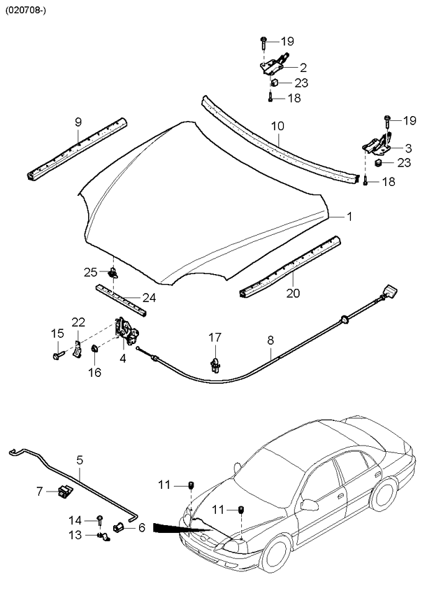 REAR DOORS (BODY)