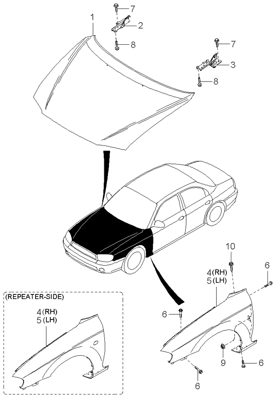 PANEL - REAR DOOR