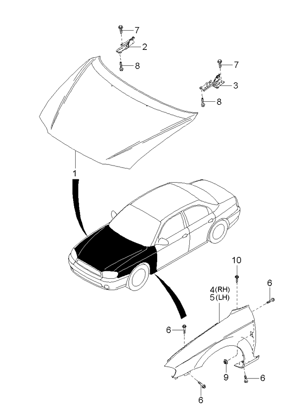 PANEL - REAR DOOR