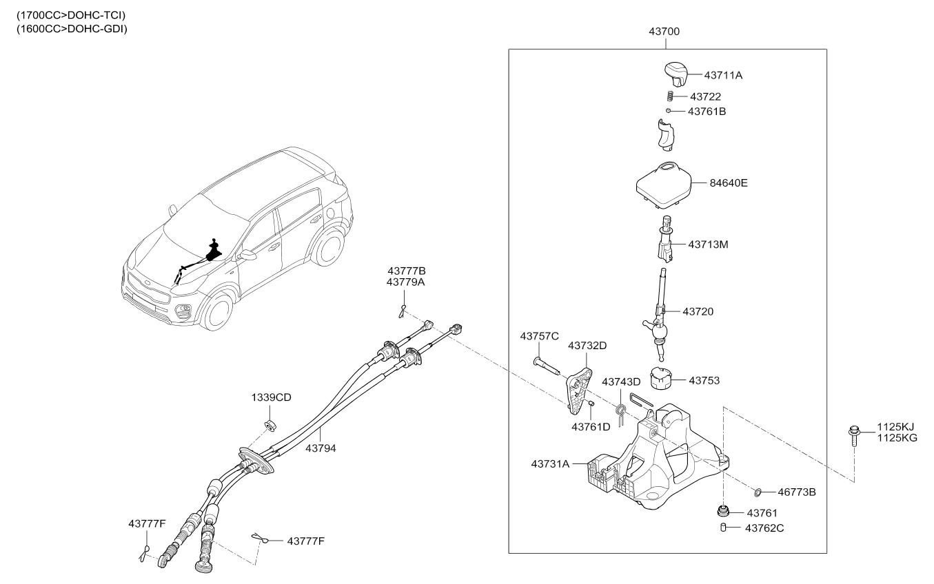 DRIVE SHAFT (REAR)