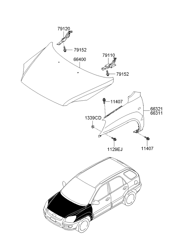 PANEL - REAR DOOR