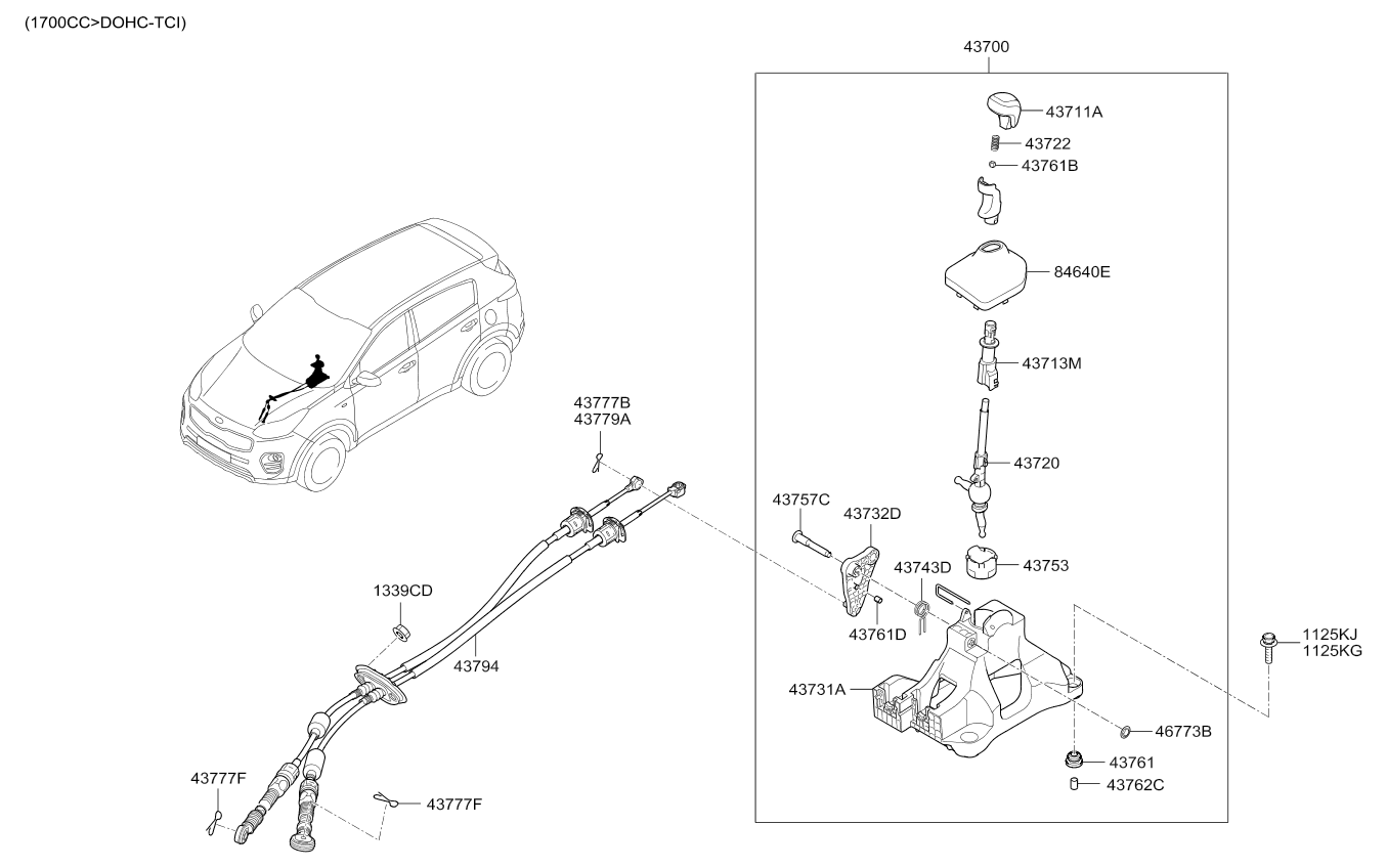 DRIVE SHAFT (REAR)