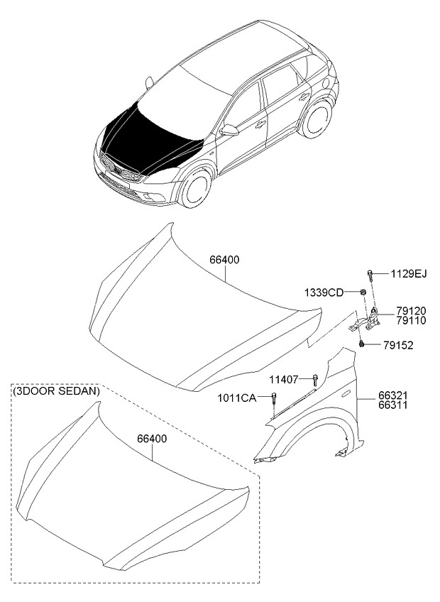 PANEL - REAR DOOR