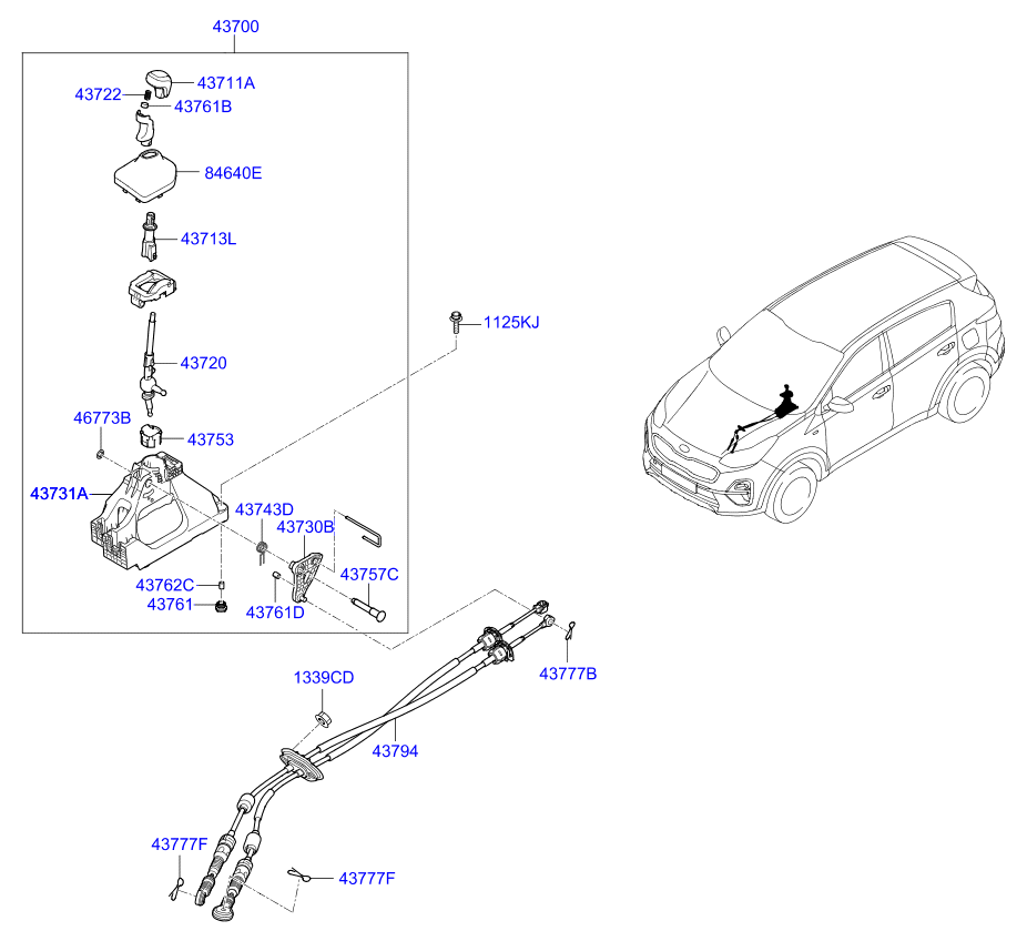 DRIVE SHAFT (REAR)