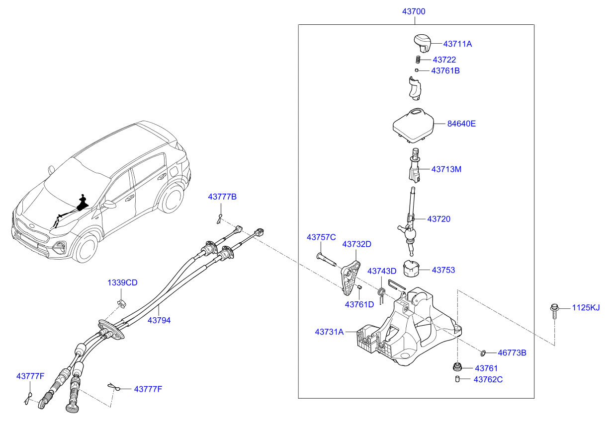 DRIVE SHAFT (REAR)