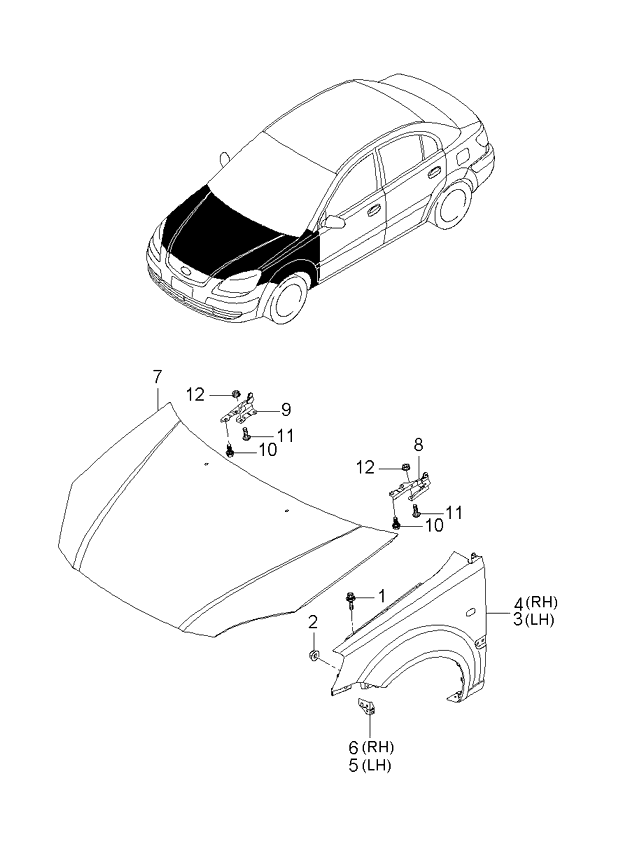 PANEL - REAR DOOR