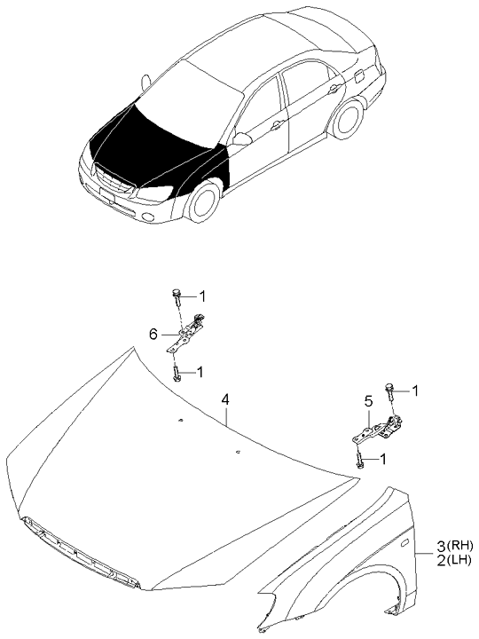 PANEL - REAR DOOR