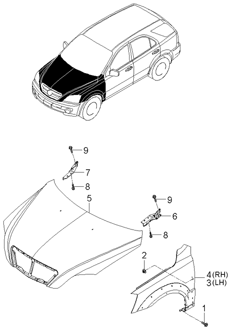 PANEL - REAR DOOR