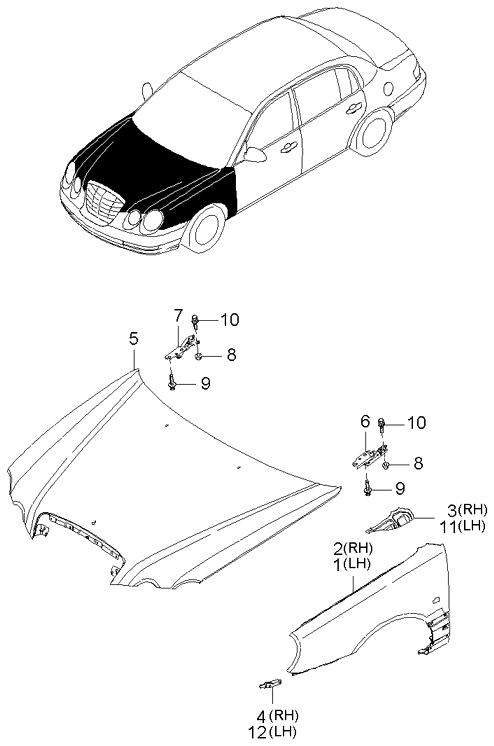 PANEL - REAR DOOR