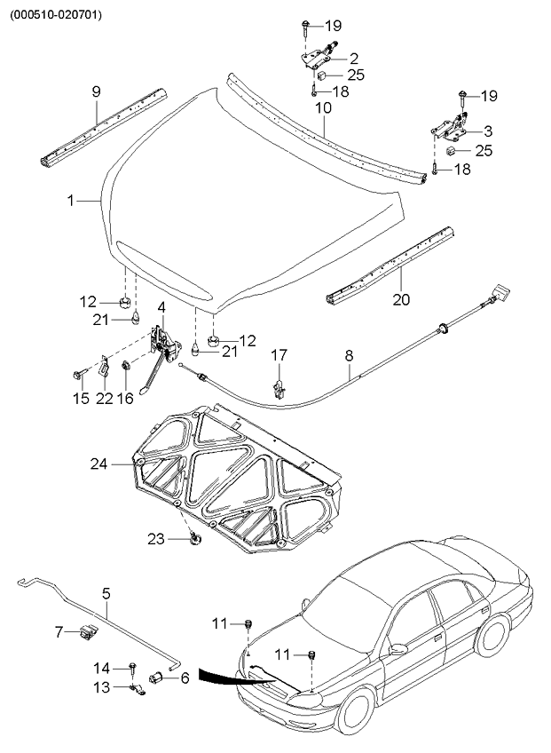 REAR DOORS (BODY)