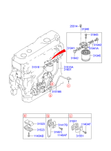 FUEL HOSE & FILTER (D4D*)