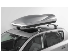 SKI CARRIER & ROOF BOX