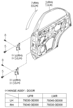 PANEL - REAR DOOR