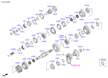 MANUAL TRANSMISSION GEAR