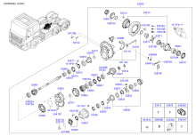 REAR AXLE DIFFERENTIALS (FORWARD)