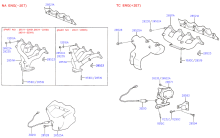 EXHAUST MANIFOLD (G4DJ)