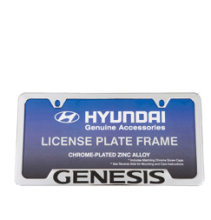 LICENSE PLATE FRAME