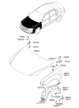 FENDER & HOOD PANEL & WHEEL GUARD-FRONT