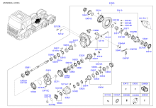 REAR AXLE DIFFERENTIALS (FORWARD)