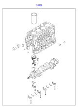 CRANKSHAFT & PISTON (D4D*)