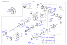 REAR AXLE DIFFERENTIALS (FORWARD)