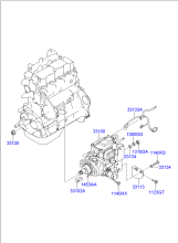 FUEL INJECTION PUMP (D4D*)