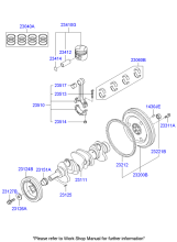 CRANKSHAFT & PISTON (D4D*)