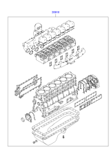 GASKET KIT - ENGINE OVERHAUL (D8A*)